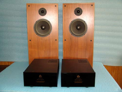 Audio Note AN-E / LX EXT Signature