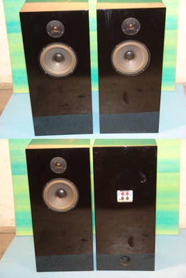 Audio Note AN-E/SEC