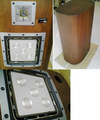 SONY ESPRIT APM-6 Monitor