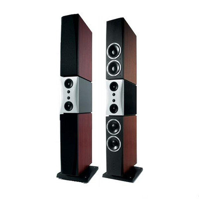 Dynaudio Evidence Temptation