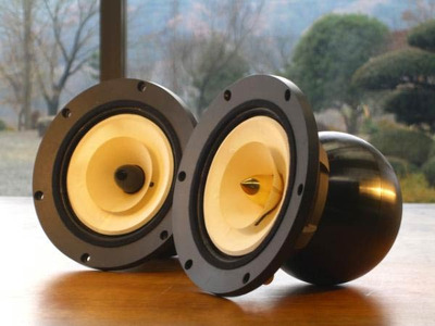 Feastrex NF-5