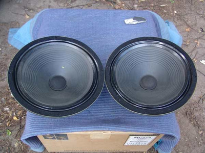 Goodmans Audiom 61 / 12"