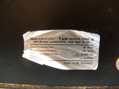 iGu mini 300 S 4
