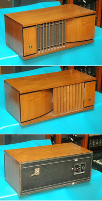 JBL MINIGON