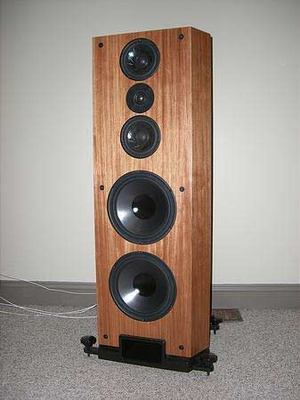Montana EPX \ Bubinga