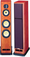 Pioneer S-A77TB Reference (Bi-Wire)