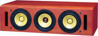 Pioneer S-A77VT Reference / Центральный канал