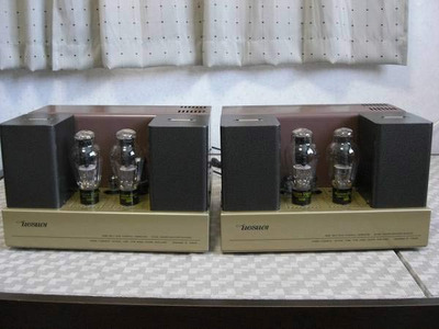 Uesugi U.Bros-21 WE300B / Моно-блоки