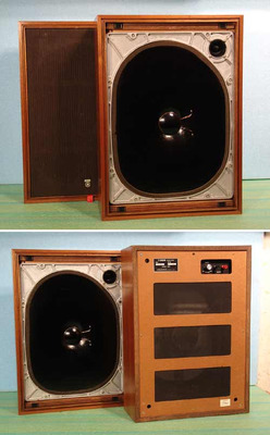 Yamaha NS-250E
